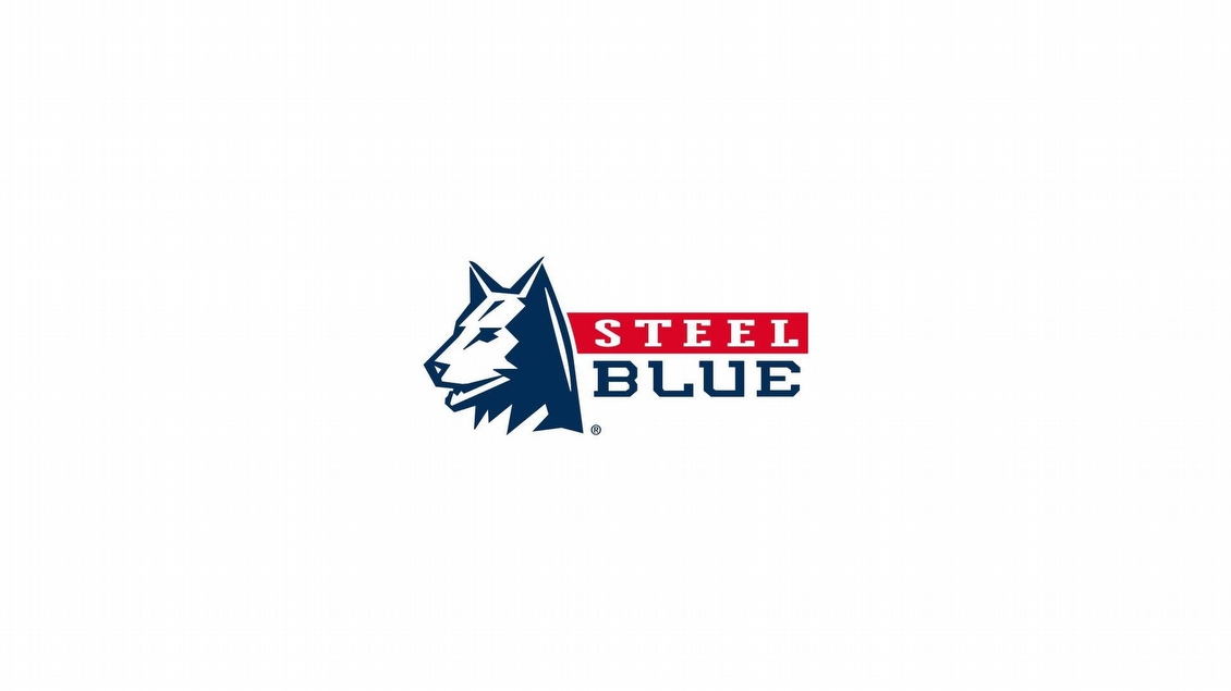 Afbeelding voor Comfortabele en duurzame Steel Blue werkschoenen